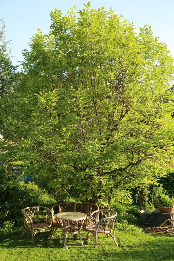 Ferienwohnungen Struggl Ossiach Exterior photo